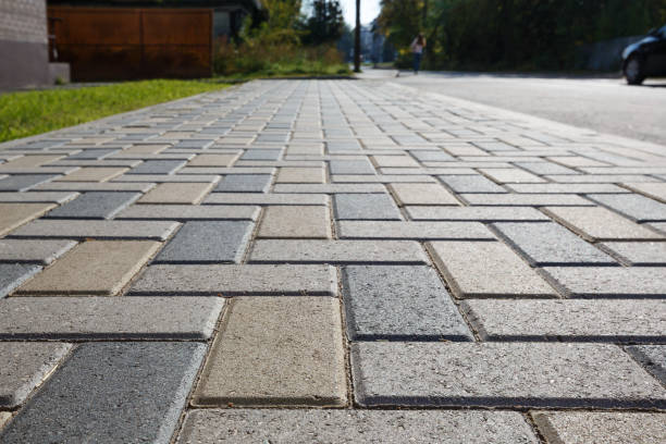 Best Professional Driveway Pavers  in South Sioux City, NE